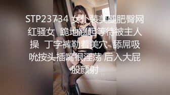 STP23734 女仆装美腿肥臀网红骚女  跪地翘起等待被主人操  丁字裤勒着美穴  舔屌吸吮按头插嘴很淫荡 后入大屁股颜射