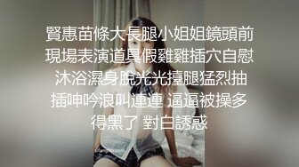 【极品稀缺❤️全网首发】尾巴爱好者的母狗性女奴❤️肛塞尾巴淫戏调教 甄选肛塞尾巴图集 粉穴嫩鲍 高清720P原版V (9)