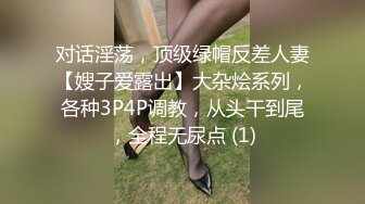 对话淫荡，顶级绿帽反差人妻【嫂子爱露出】大杂烩系列，各种3P4P调教，从头干到尾，全程无尿点 (1)