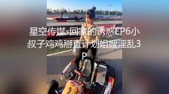 李莉啪啪私拍视频完整版