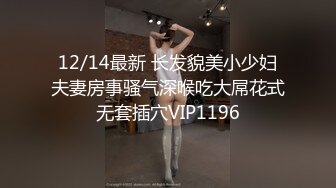 《百度云泄密》极品少妇和相好的在家里偷情穿上情趣丝袜和高跟鞋被各种道具玩B (1)