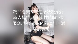 精品绝美尤物性感妖娆身姿 新人模特夏可馨 性感职业制服OL 甜美可人的颜值与丰满多姿的身段