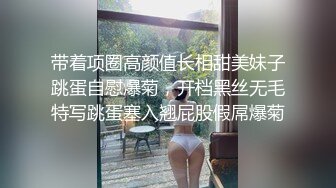 贱奴风骚模样