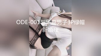 麻豆传媒 mfk-0034 梦遗之秘密换妻