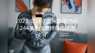  2023-05-03 蜜桃影像PME-244美艳大嫂用身体还债