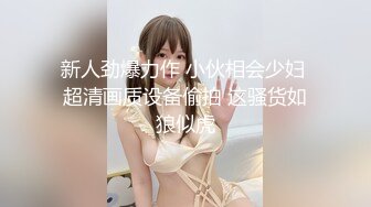 中年男各自带着情人炮友相聚啪啪交换,干完自己的女人再换着干其她的