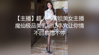 MDX-0238-1时间停止器之痴女空姐的逆袭-寻小小