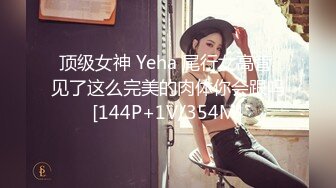 顶级女神 Yeha 尾行女高管 见了这么完美的肉体你会跟吗[144P+1V/354M]