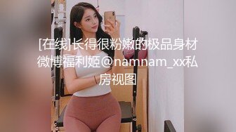 国产麻豆AV MD MD0039 女优面试员 叶一涵