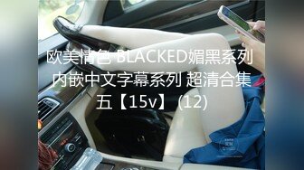 欧美情色 BLACKED媚黑系列 内嵌中文字幕系列 超清合集五【15v】 (12)