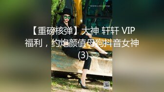 【重磅核弹】大神 轩轩 VIP福利，约炮颜值母狗抖音女神 (3)