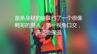 苗条身材的妹妹约了一个很像鸭哥的男人，第一视角口交，多姿势操逼