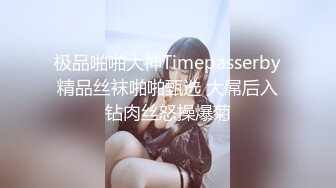 极品啪啪大神Timepasserby精品丝袜啪啪甄选 大屌后入钻肉丝怒操爆菊