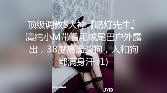 女仆逞罚,缸交媚娘