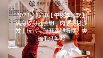 2023-11-10【午夜李寻欢】满身纹身社会姐，肉感身材沙发上玩穴，张开双腿爆操，爽的低低呻吟