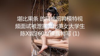 巨奶人妻 ~新合集【嘎嘎靠谱-大宝贝想要】骚舞~电梯间奶汁狂射~激情啪啪【25V】-0000 (8)