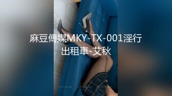 麻豆傳媒MKY-TX-001淫行出租車-艾秋