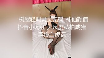 鸡吧抽打丰台少妇的骚逼