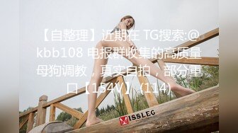 Onlyfans泰国大奶网红smurfblue精致COS各种吃鸡啪啪6