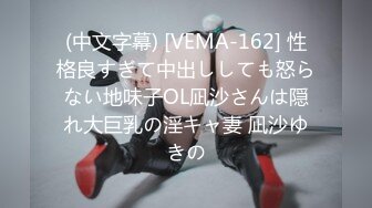 (中文字幕) [VEMA-162] 性格良すぎて中出ししても怒らない地味子OL凪沙さんは隠れ大巨乳の淫キャ妻 凪沙ゆきの