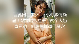 小狐狸爱诺探花约啪良家丰满少妇，大奶子好性感没忍住内射